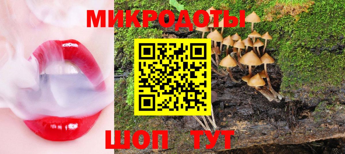 Псилоцибиновые грибы Psilocybe Чебаркуль